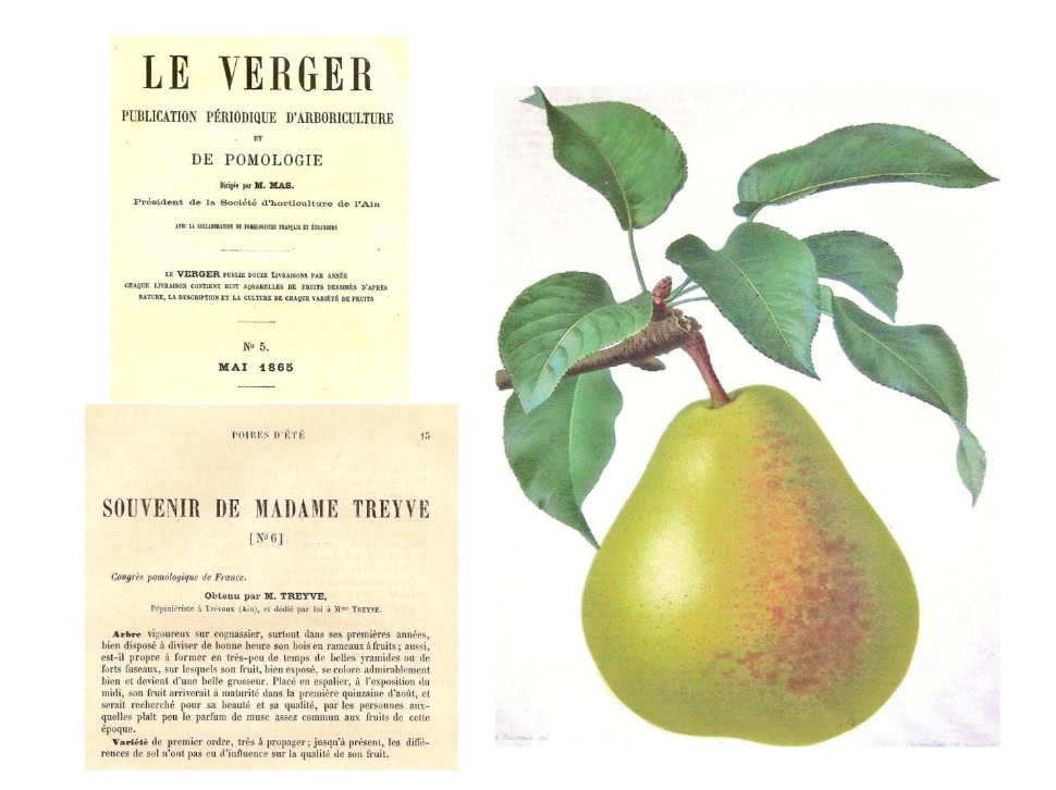 Nous vous proposons un service de création de paysages alliant expertise et tradition. Notre équipe spécialisée se consacre à la conception et à l'aménagement de jardins, en s'inspirant des principes éprouvés depuis deux siècles. Nous intervenons dans toutes les étapes, de la planification à la réalisation, pour développer un espace extérieur harmonieux. Nos réalisations incluent notamment la plantation d'arbres fruitiers tels que le poirier, permettant une intégration naturelle et durable dans votre jardin. Nous nous engageons à créer des compositions végétales qui respectent l'environnement local tout en apportant une touche intemporelle à votre espace vert. contactez-nous pour transformer votre jardin en un lieu unique empreint d'histoire paysagère raffinée.