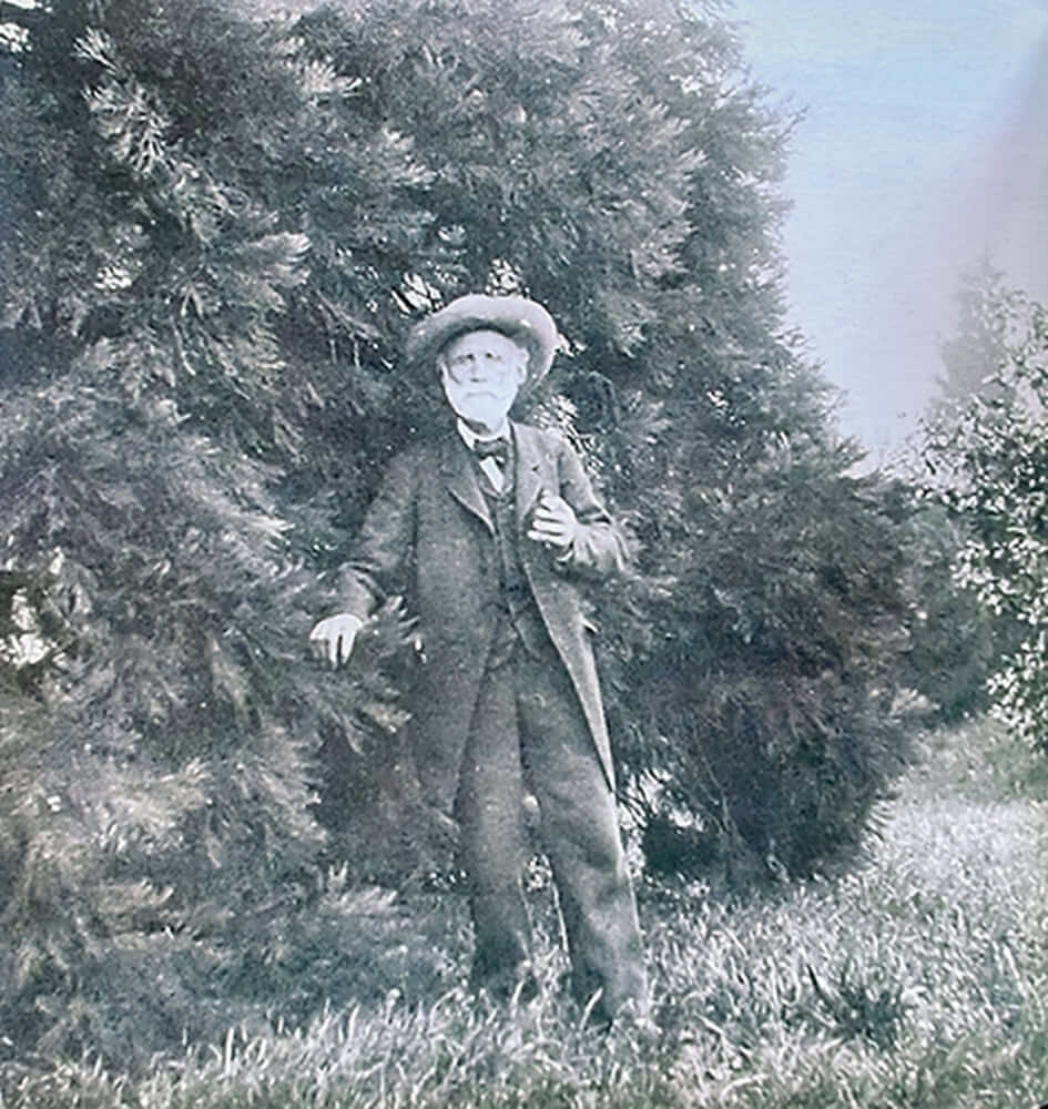 Nous proposons des services de conception et d'entretien centrés sur l'intégration harmonieuse d'arbres de grande taille dans votre espace extérieur. Nos équipes assurent la plantation, la taille et le soin continu de ces arbres pour garantir leur santé et leur croissance. Nous mettons un point d'honneur à respecter les particularités du terrain et à répondre aux besoins spécifiques de chaque projet, en tenant compte de l'histoire naturelle du site.